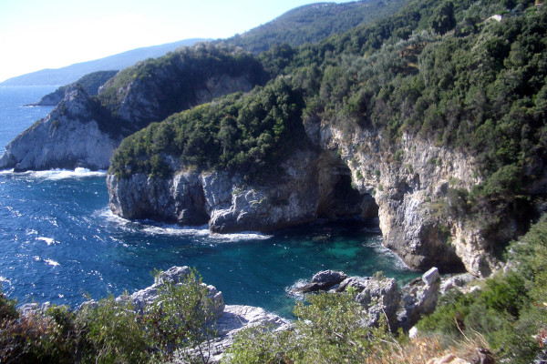 Dense vegetation has taken over the rocky coastline of Pelion.