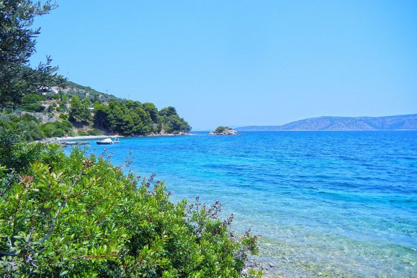 The Glifa beach at Steni Vala with light-blue sea by tree branches and bushes.