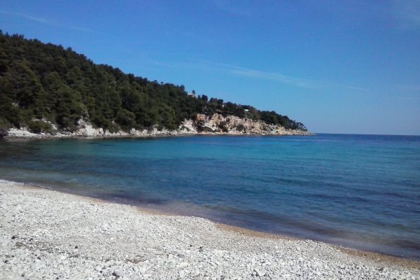 The pebble Milia beach , the deep-blue sea, and a hill overgrown with trees in the background.