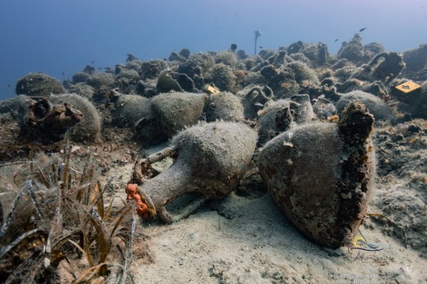 Ancient amphorae overgrown with algae and seaweed are scattered on the bottom of the sea.