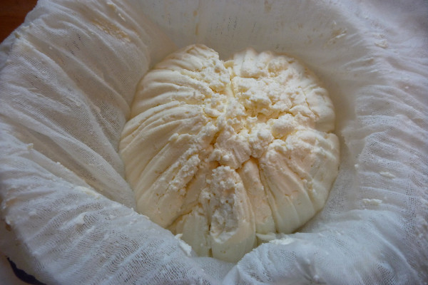 A picture showing Mizithra cheese in cloth during the production process.