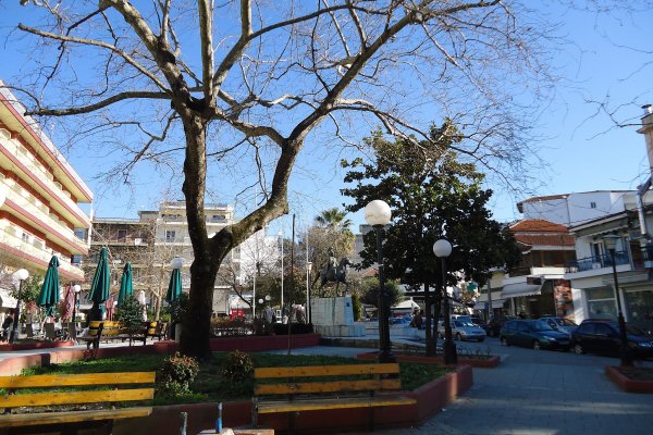 Two benches and a tree in the open space of Kilkis Square.