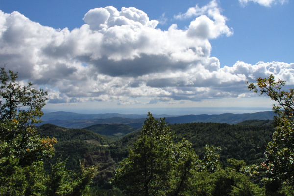 The green landscape and dense vegetation of the Holomontas Mountain region.