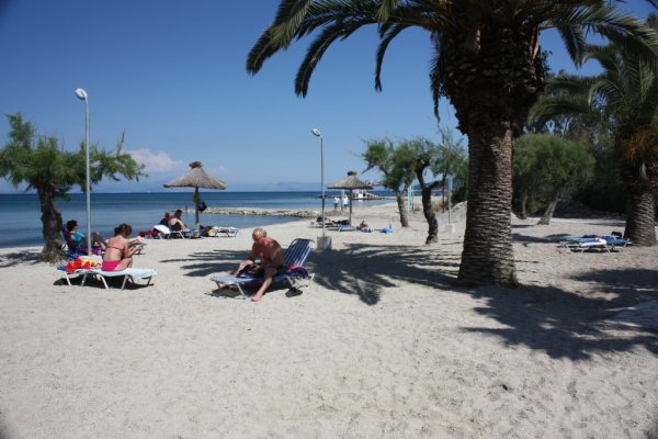 A few people under palm tree shade on the Moraitika Beach, Corfu.