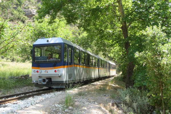 The train of Odontotos Rack Railway Diakopto - Kalavrita among dense vegetation of the surroundings.