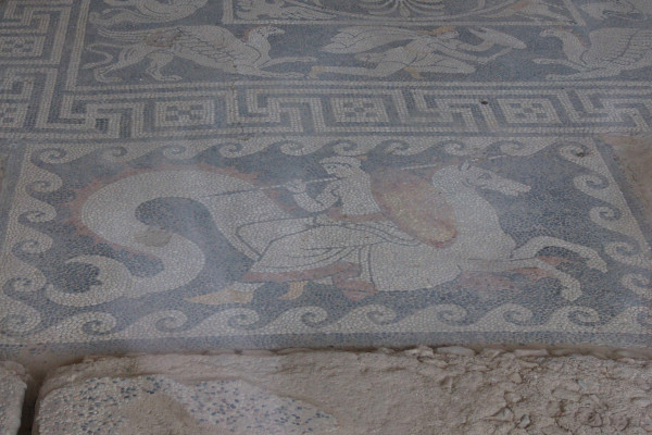 A close up of a mosaic in the House of Mosaics in Eretria depicting Europe's abduction. 