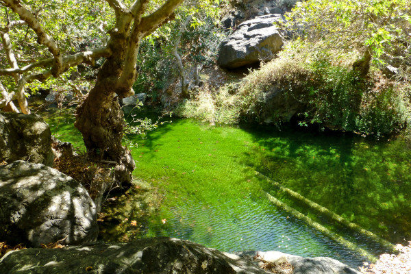 A pond created by the waters of Richtis in the homonymous gorge.