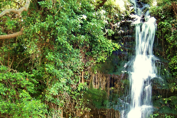 The small waterfall of Platanistos surrounded by dense vegetation.