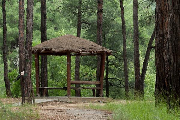 A kiosk with resting benches in the forest of Nymfaia of Komotini.