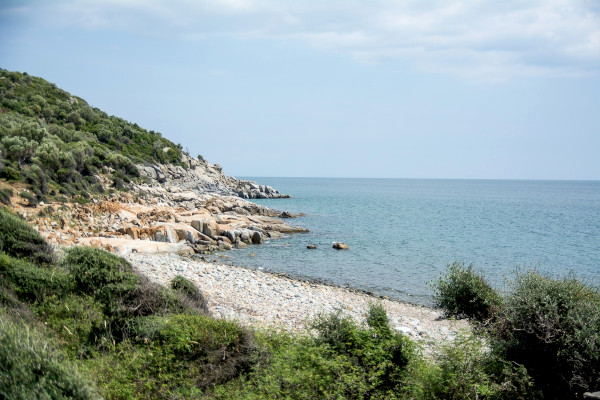 A picture of the rocky coast covered by bushes at Sinaxi beach, Rhodope. 