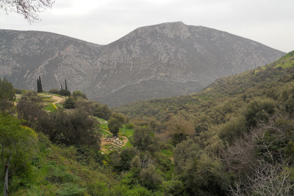 A wild mountainous landscape with dense vegetation on Mount Parnassus National Park.