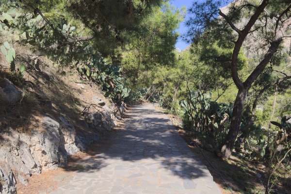 A trail with lush green blossom and trees on both sides of the walk - the Arvanitia Hiking Path, Nafplio.