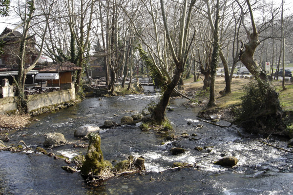 The flow of Arapitsa through the city of Naousa among numerous high trees.