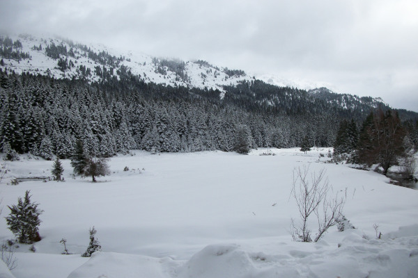 A snowy landscape of the area Pertouli Meadows where Pertouli Ski Center is located.