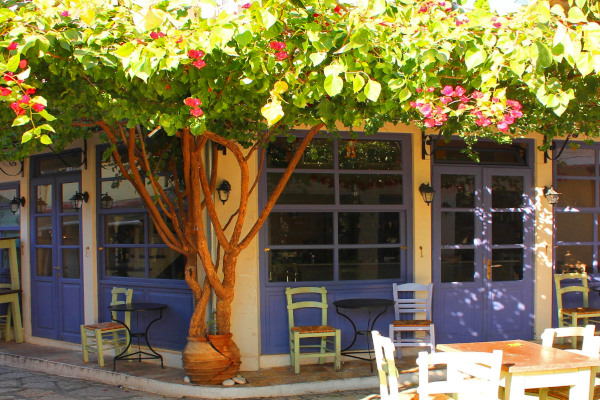 A traditional coffeehouse in Satan Bazaar with a beautiful tree adorning its corner.