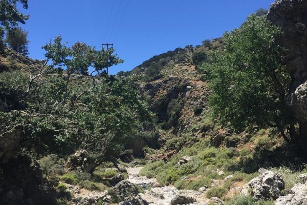 A beautiful natural Mediterranean landscape with bushes and a few trees at Imbros Gorge, Crete.