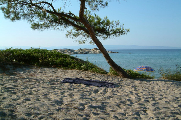 A photo showing a part of the Karidi beach at Vourvourou. Sithonia