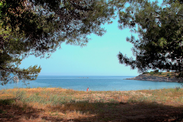 A photo taken among trees shows the coast of Neos Marmaras on Sithonia of Halkidiki.