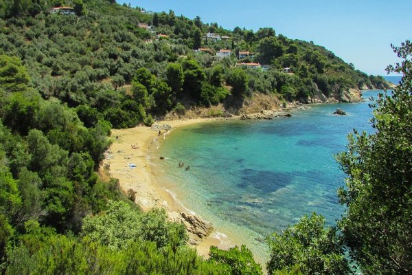 A bay with turquoise waters steeped in forest and tree branches leaning down above the sea at Diamandis Beach.