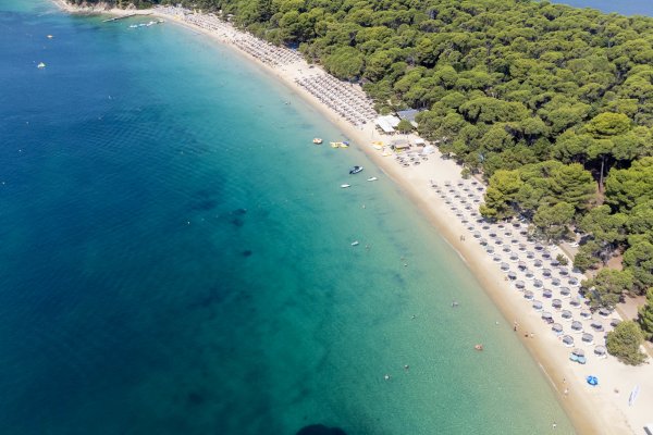 A strip of sand with lined up umbrellas with a forest on the right and turquoise sea on its left at Koukounaries Skiathos.