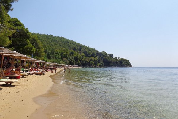 Light-brown sand, clear waters, and, in the back, a green-hill cape at Maratha Beach, Skiathos.