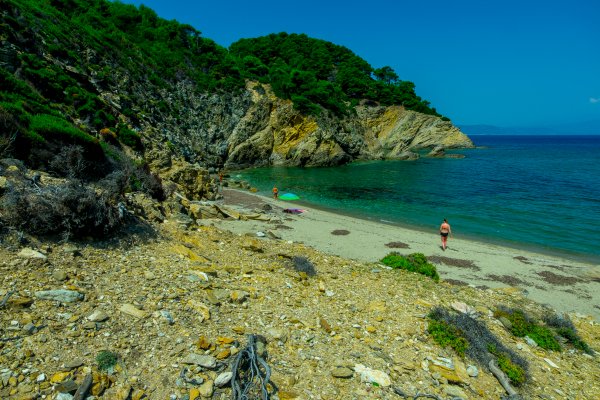Stones, rocks, weeds, and the sea in a green-blue environment on Mikros Aselinos Beach, Skiathos.