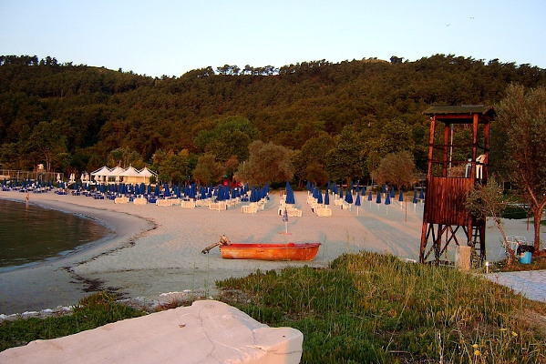 A picture of the Makryammos Beach on the island of Thasos with lines of loungers.