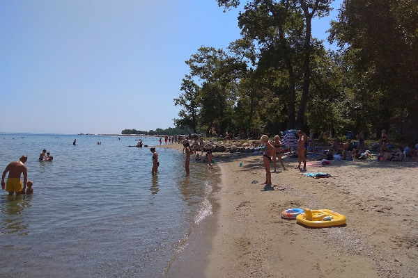 A photo of the Platani beach of Stavros showing trees reaching out to the sea.
